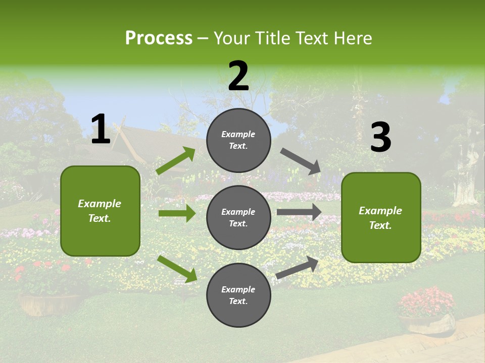 Summer Flowers PowerPoint Template