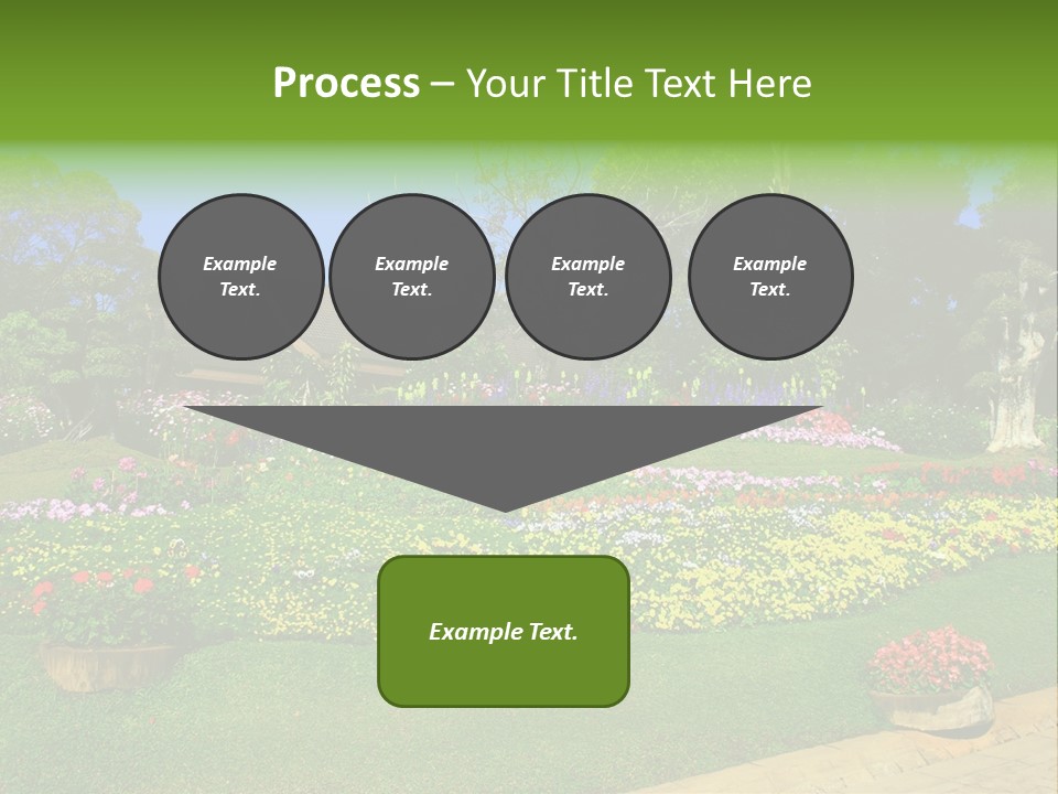 Summer Flowers PowerPoint Template