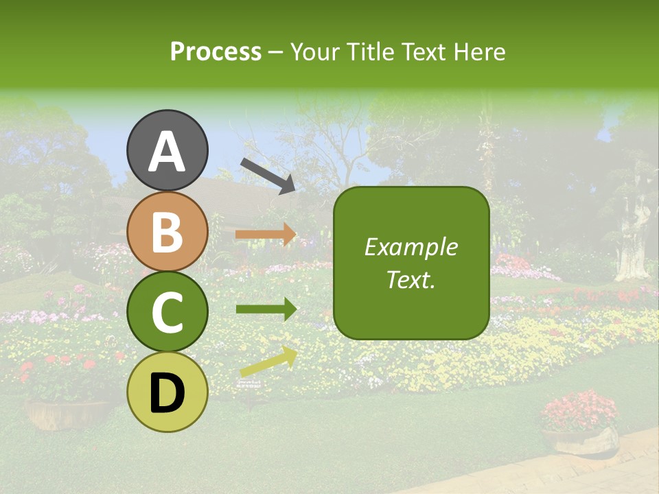 Summer Flowers PowerPoint Template