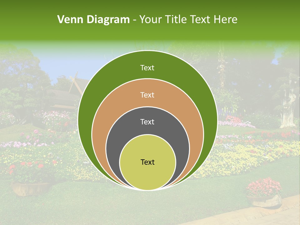 Summer Flowers PowerPoint Template