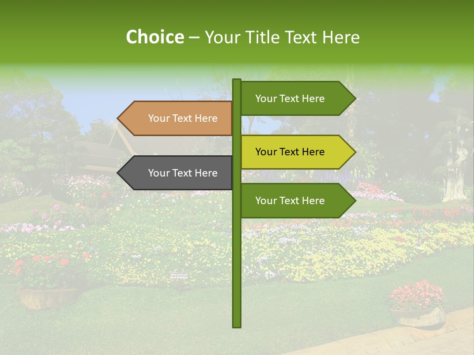 Summer Flowers PowerPoint Template