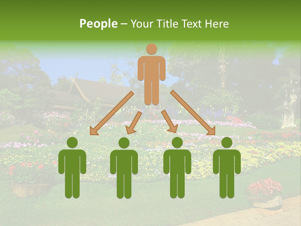 Summer Flowers PowerPoint Template