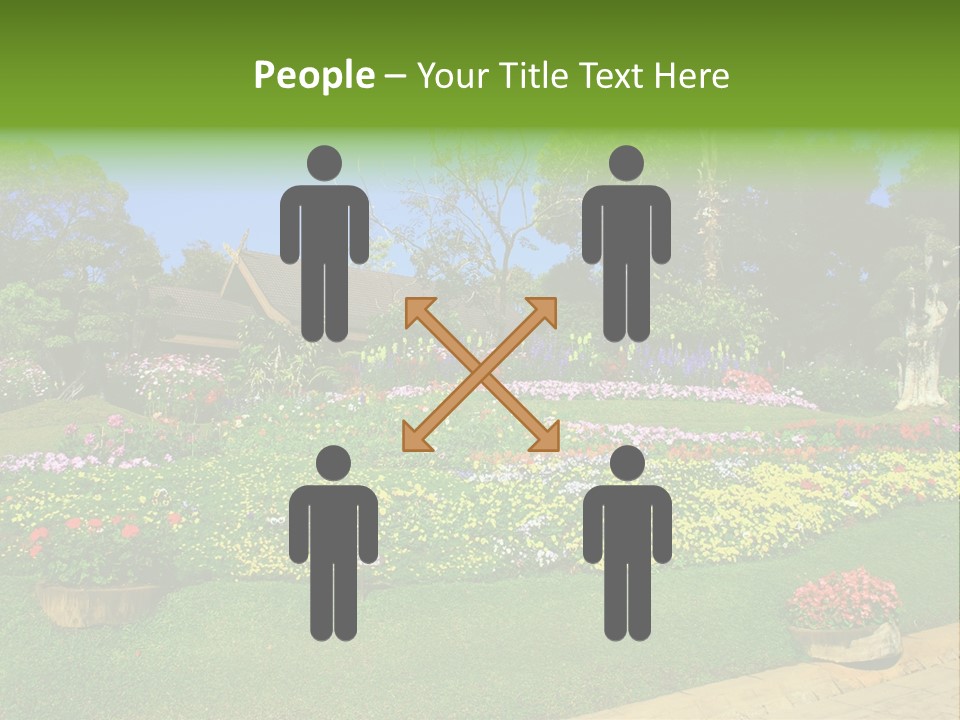 Summer Flowers PowerPoint Template