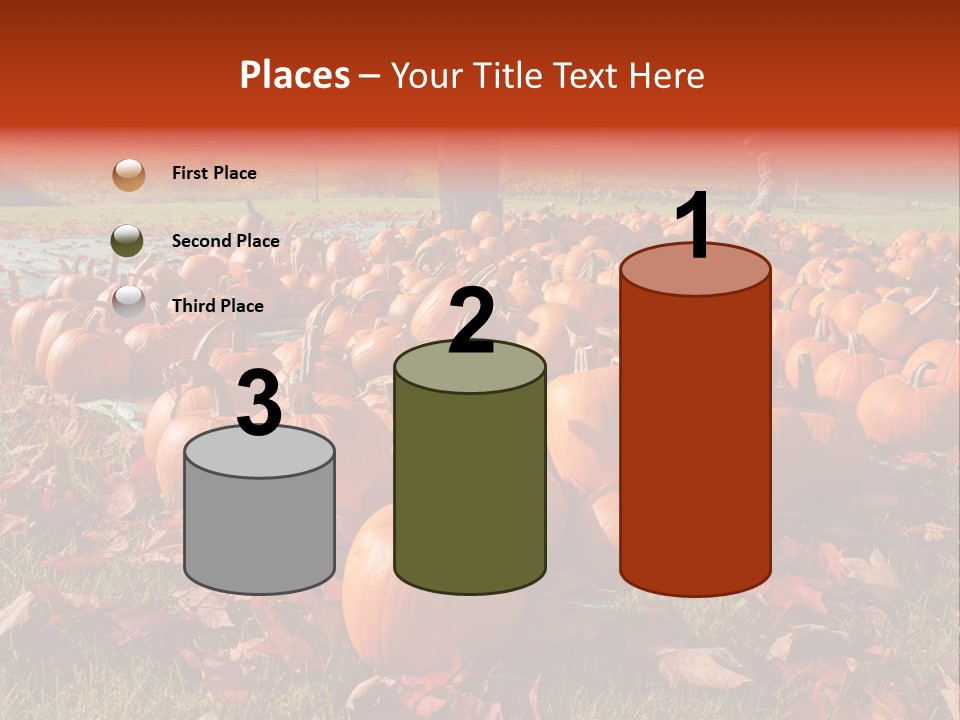 Pumpkins In A Field PowerPoint Template