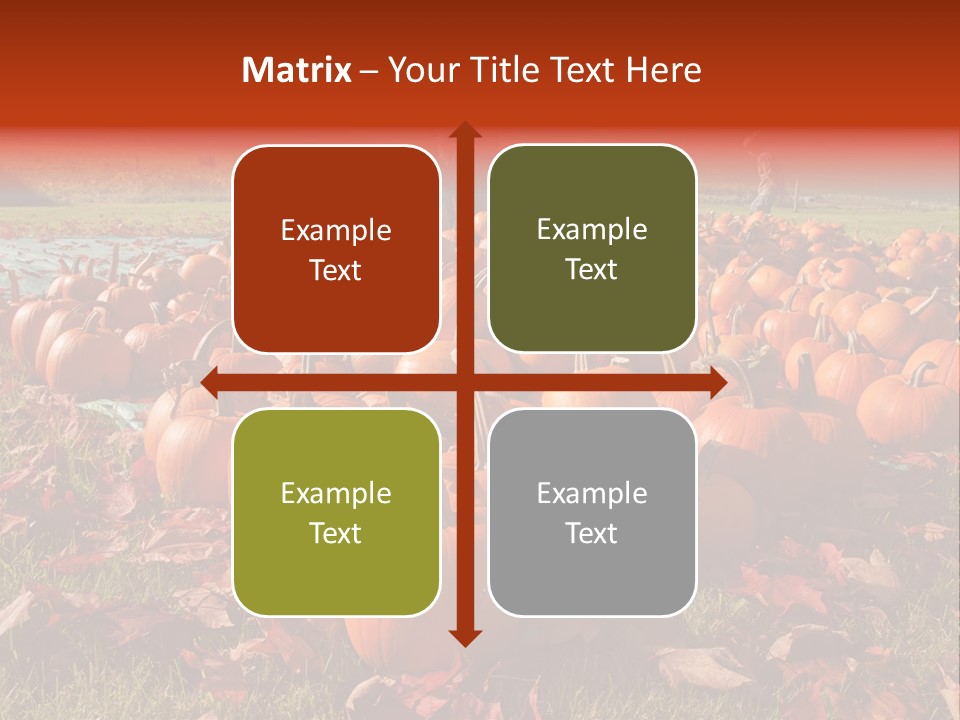 Pumpkins In A Field PowerPoint Template