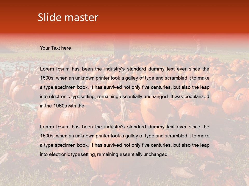 Pumpkins In A Field PowerPoint Template