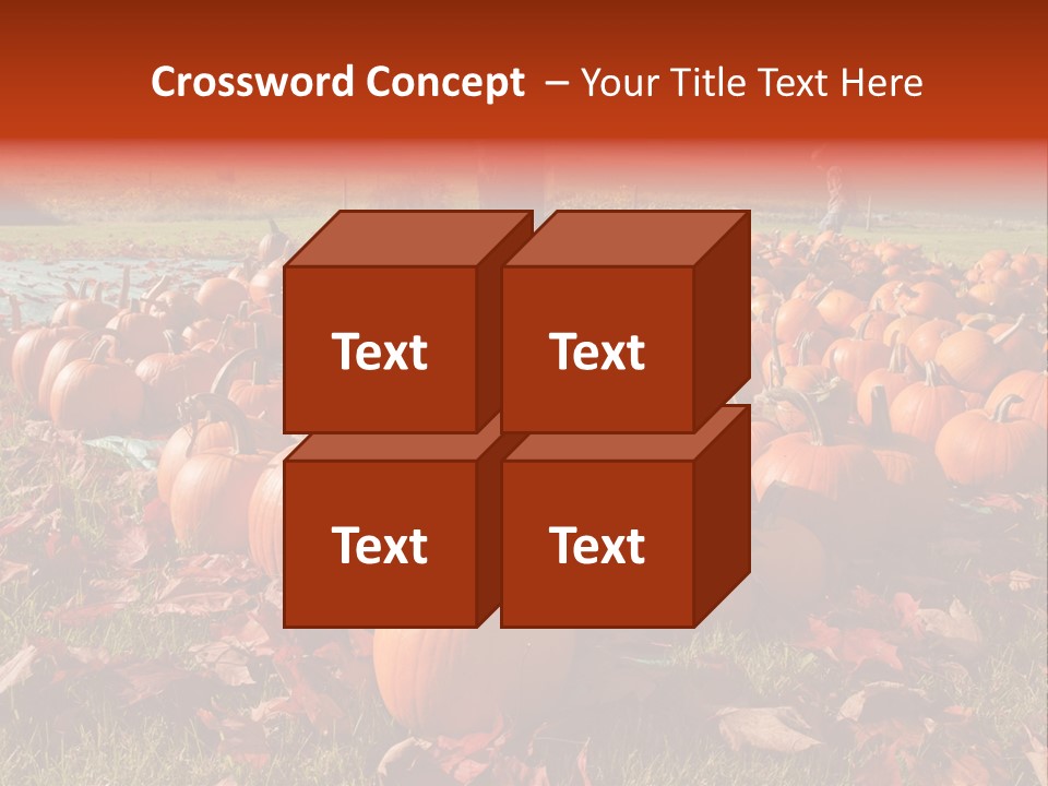 Pumpkins In A Field PowerPoint Template