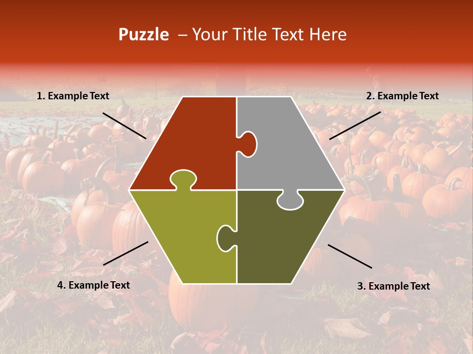 Pumpkins In A Field PowerPoint Template