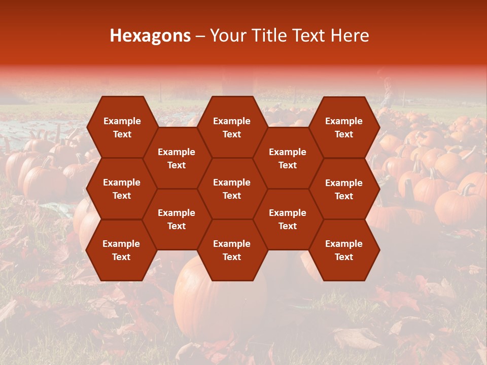 Pumpkins In A Field PowerPoint Template
