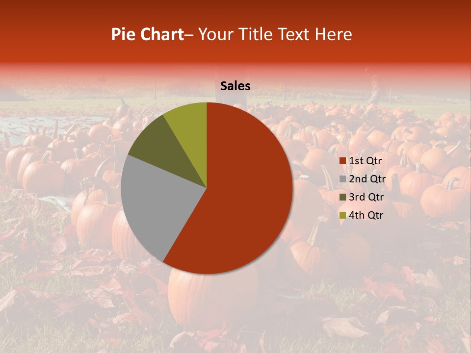 Pumpkins In A Field PowerPoint Template
