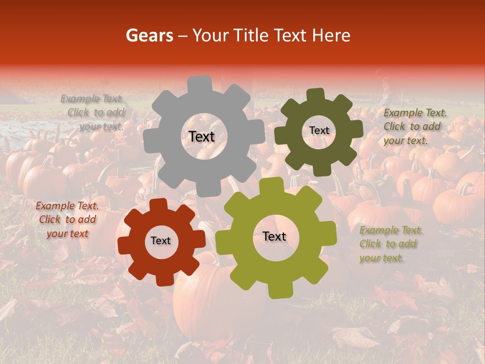 Pumpkins In A Field PowerPoint Template