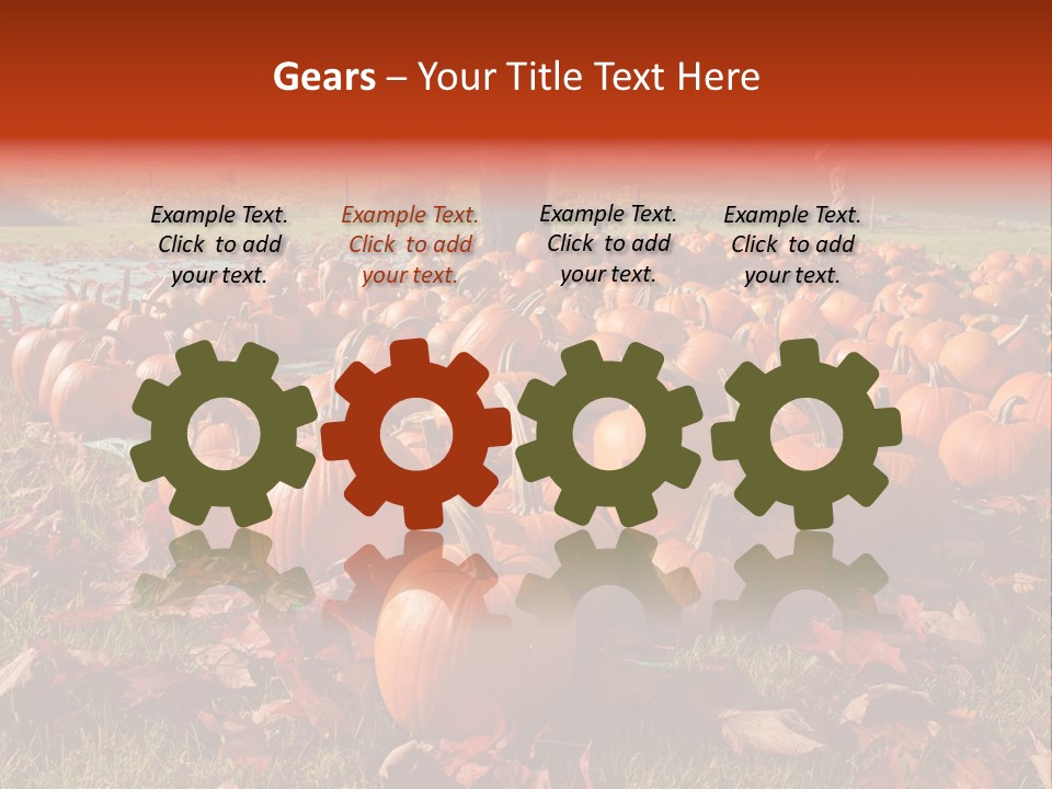 Pumpkins In A Field PowerPoint Template