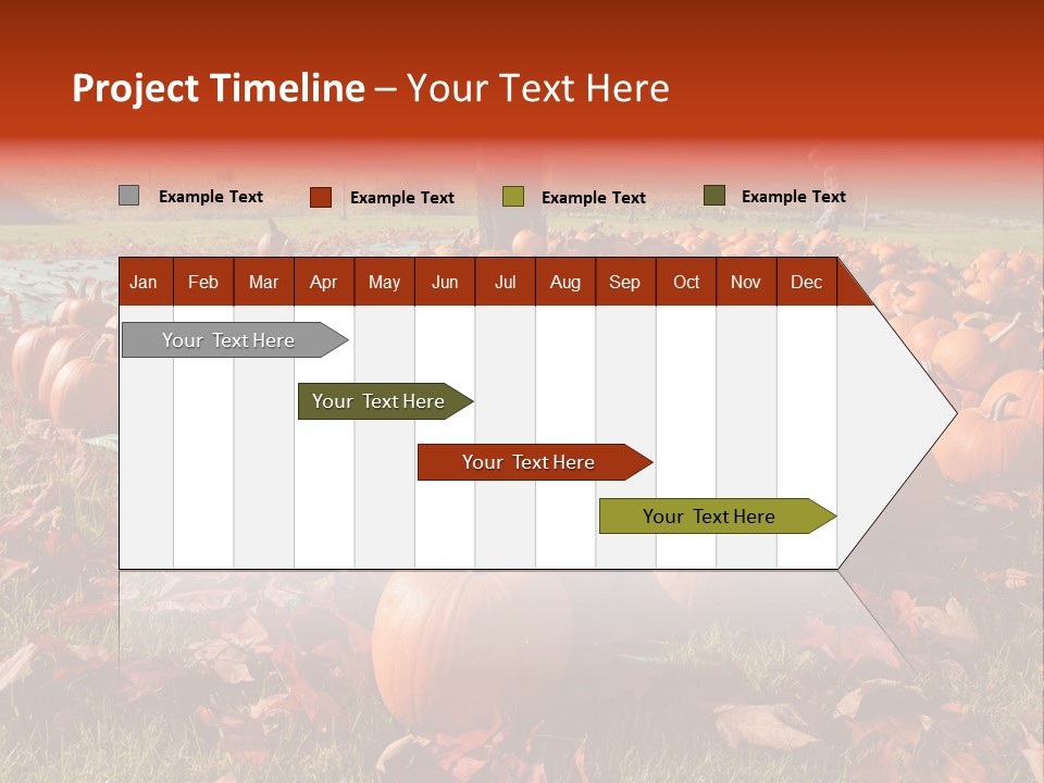Pumpkins In A Field PowerPoint Template