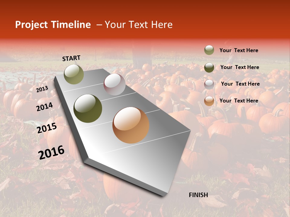 Pumpkins In A Field PowerPoint Template