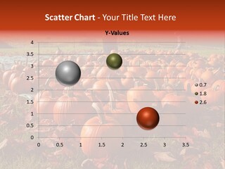 Pumpkins In A Field PowerPoint Template