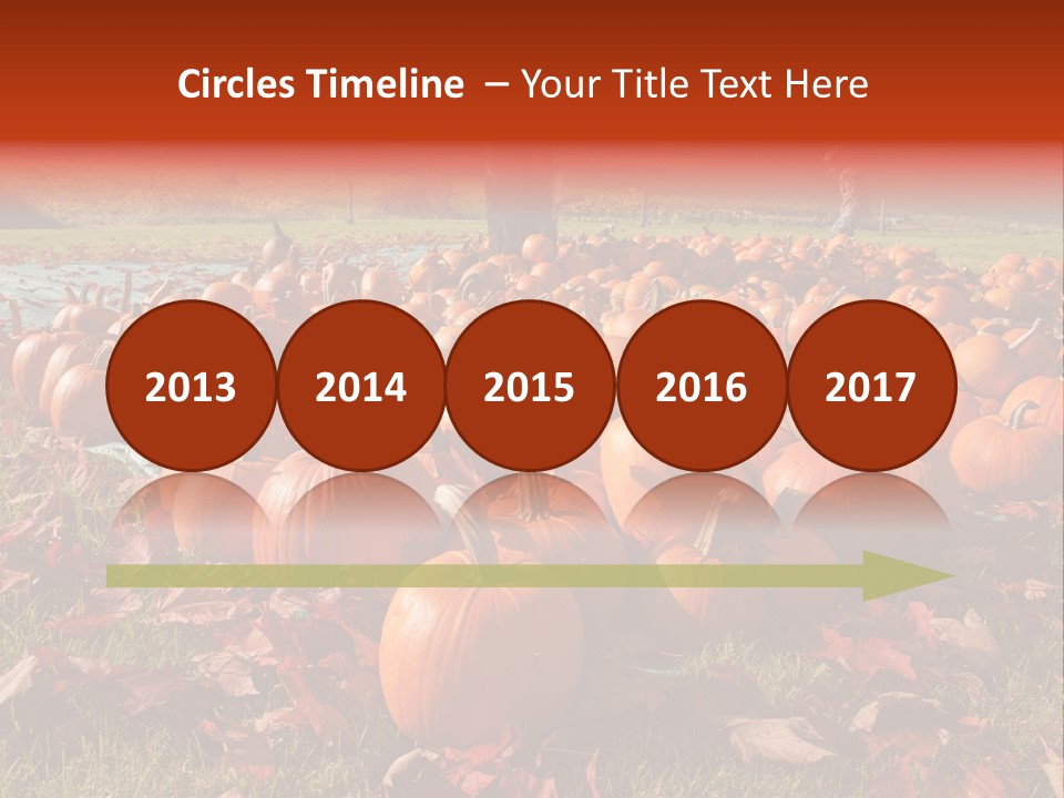Pumpkins In A Field PowerPoint Template