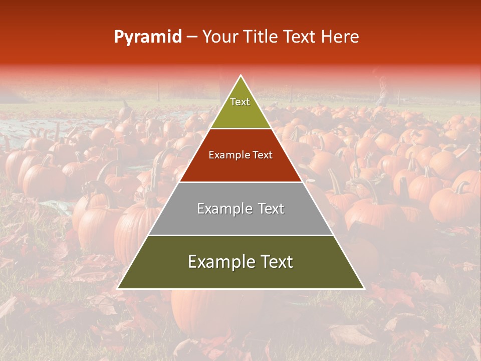 Pumpkins In A Field PowerPoint Template