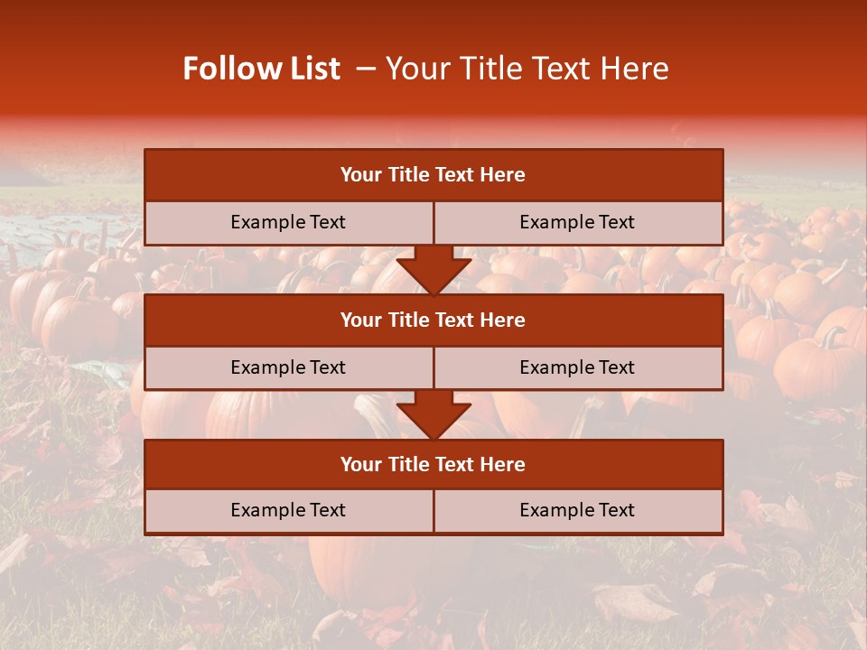 Pumpkins In A Field PowerPoint Template