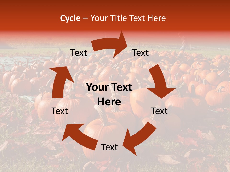 Pumpkins In A Field PowerPoint Template
