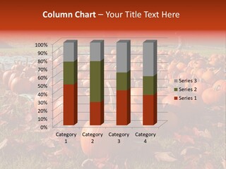 Pumpkins In A Field PowerPoint Template