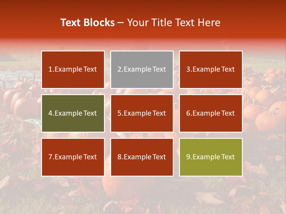 Pumpkins In A Field PowerPoint Template