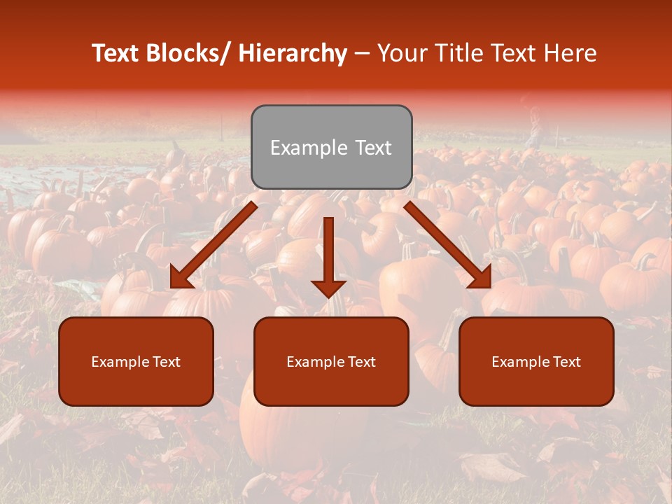 Pumpkins In A Field PowerPoint Template