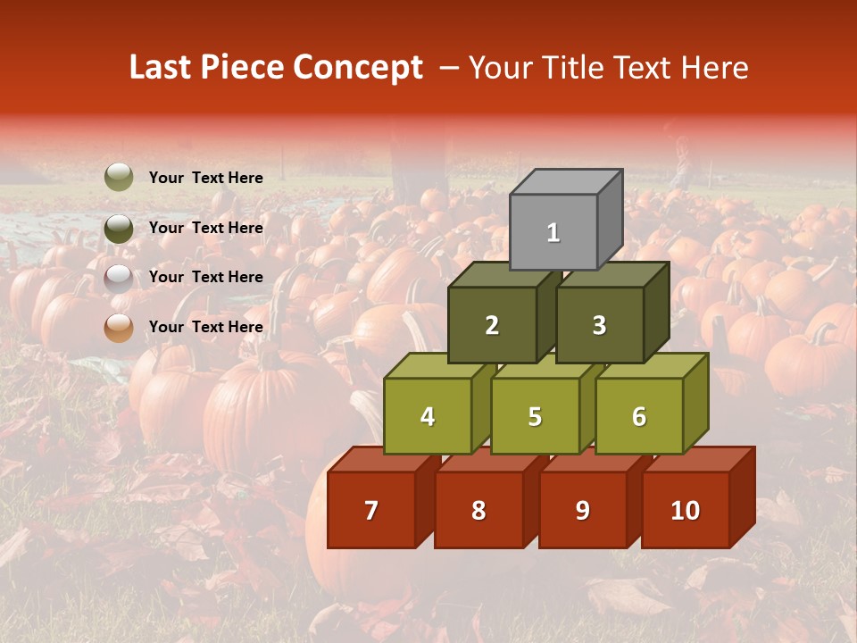 Pumpkins In A Field PowerPoint Template