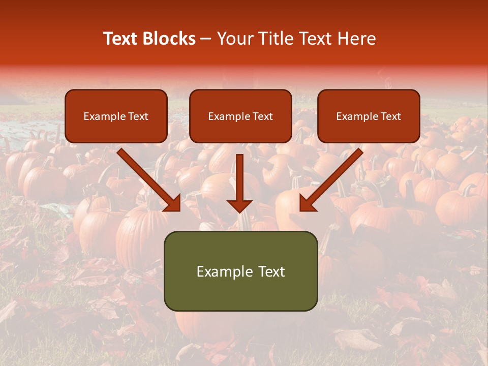 Pumpkins In A Field PowerPoint Template