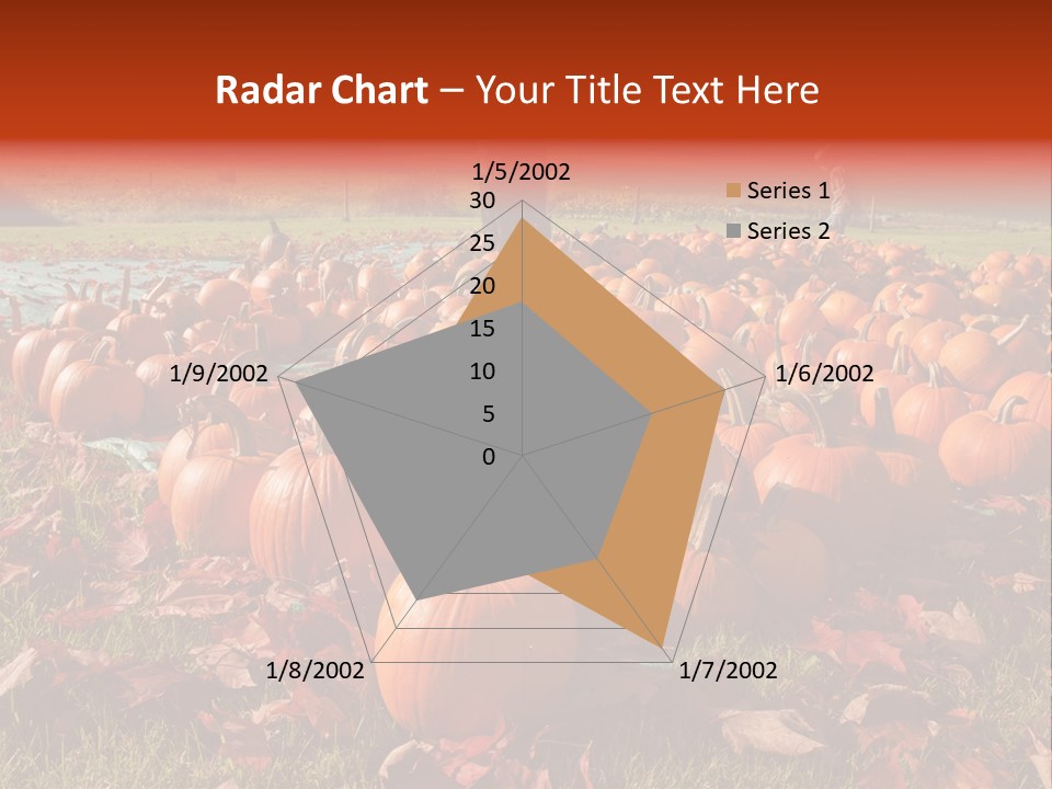 Pumpkins In A Field PowerPoint Template