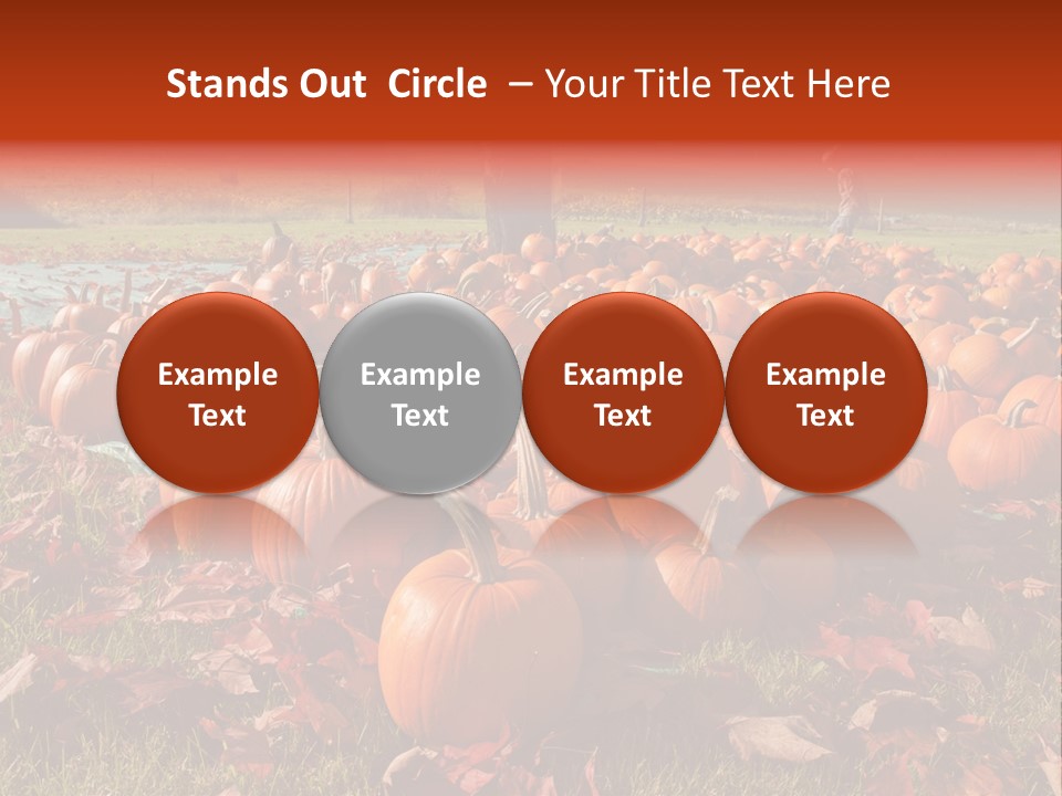 Pumpkins In A Field PowerPoint Template