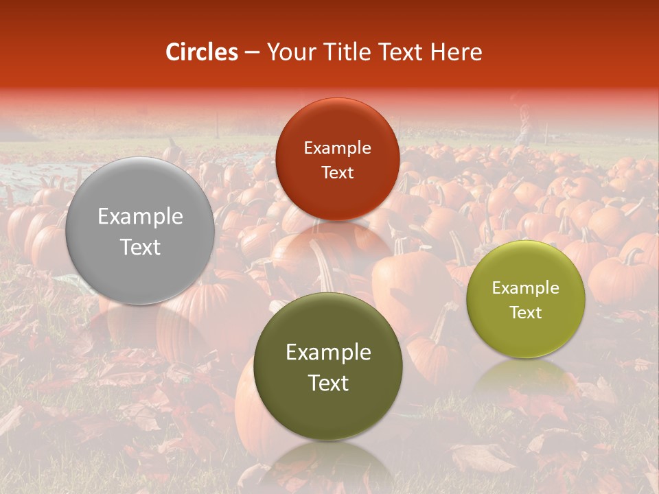 Pumpkins In A Field PowerPoint Template