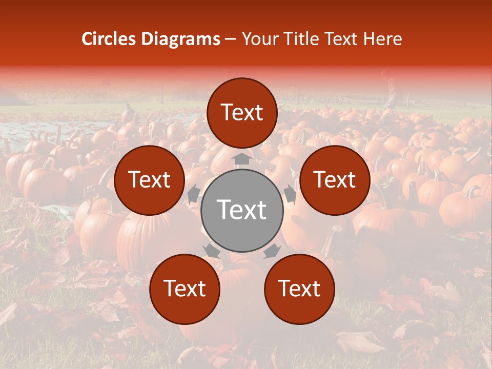 Pumpkins In A Field PowerPoint Template