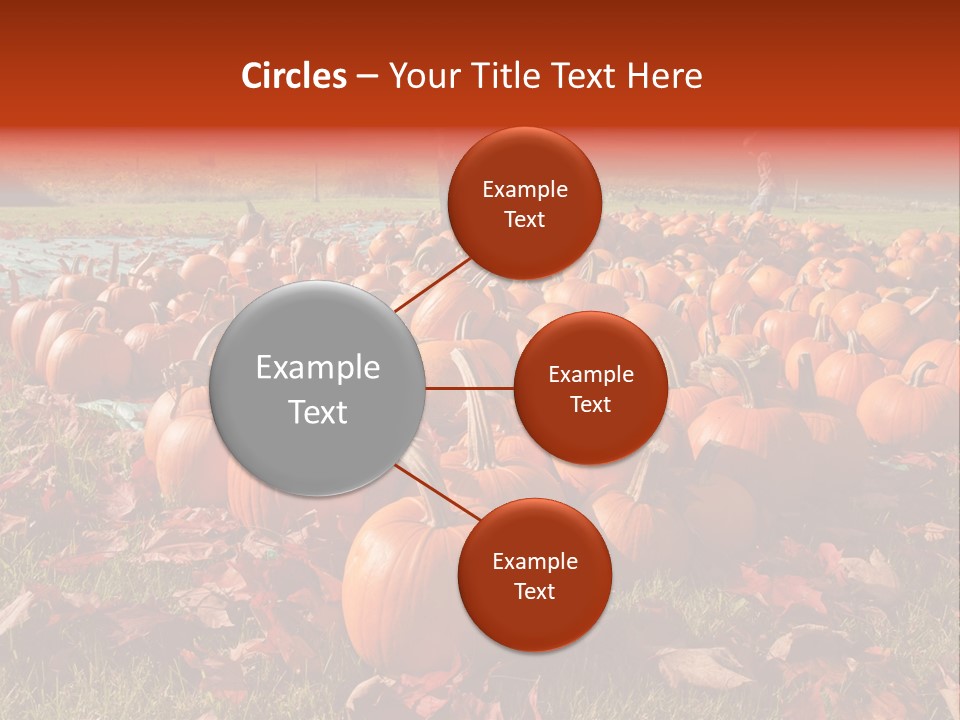 Pumpkins In A Field PowerPoint Template