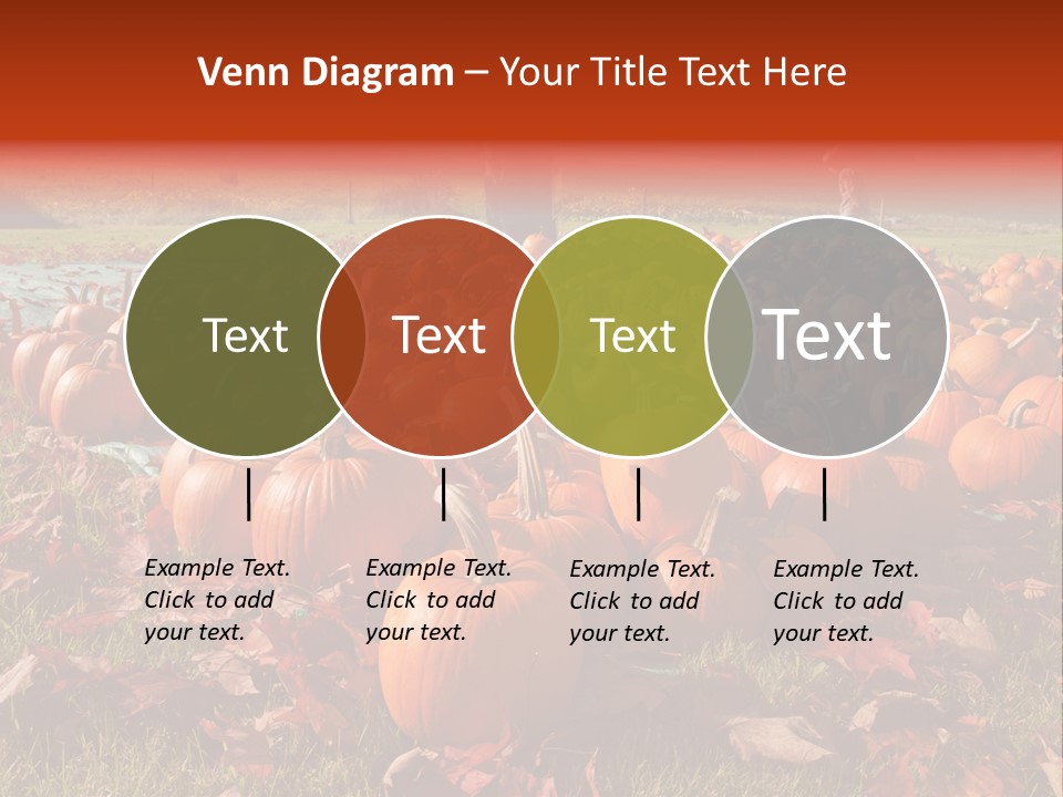 Pumpkins In A Field PowerPoint Template