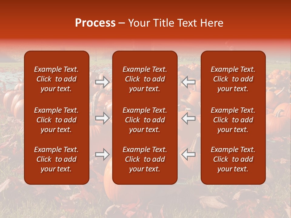 Pumpkins In A Field PowerPoint Template