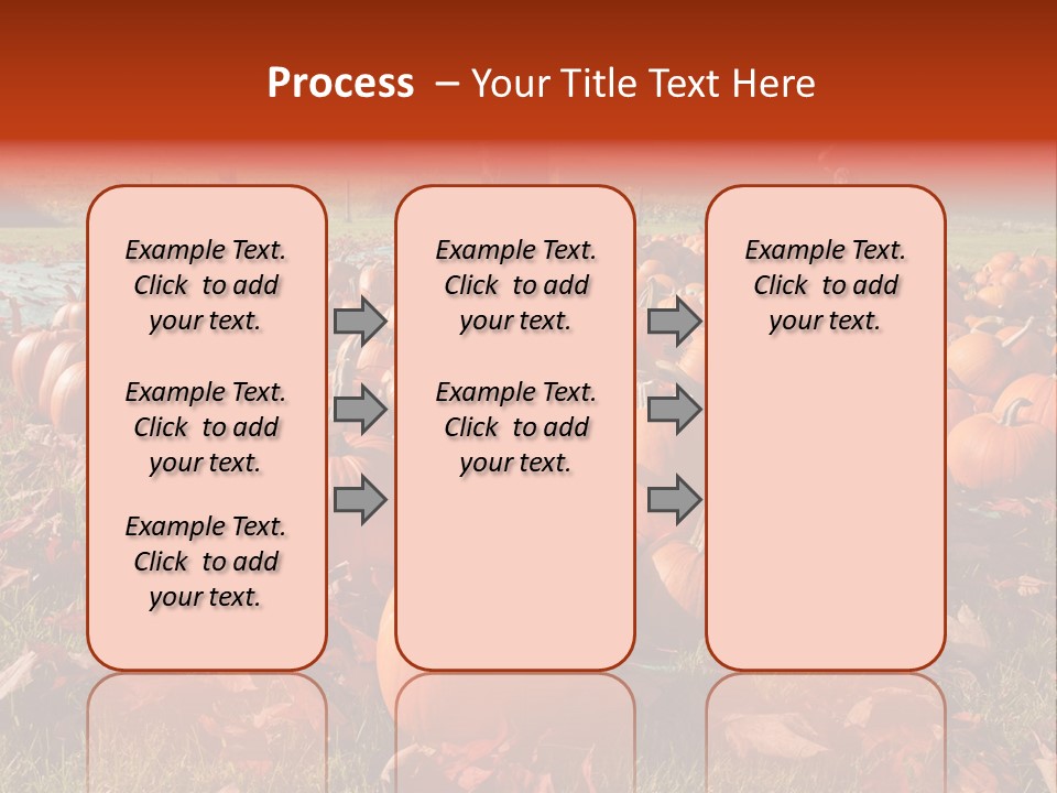 Pumpkins In A Field PowerPoint Template