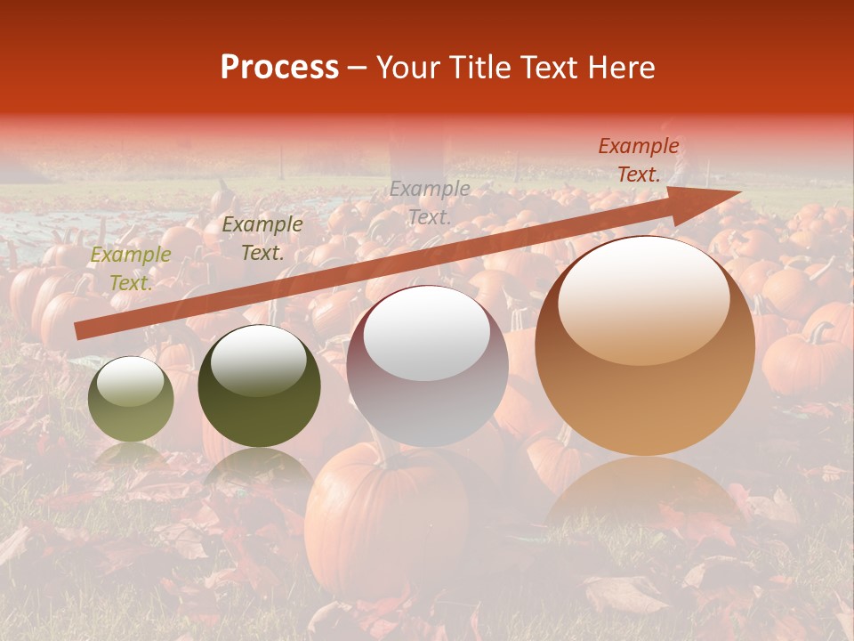 Pumpkins In A Field PowerPoint Template