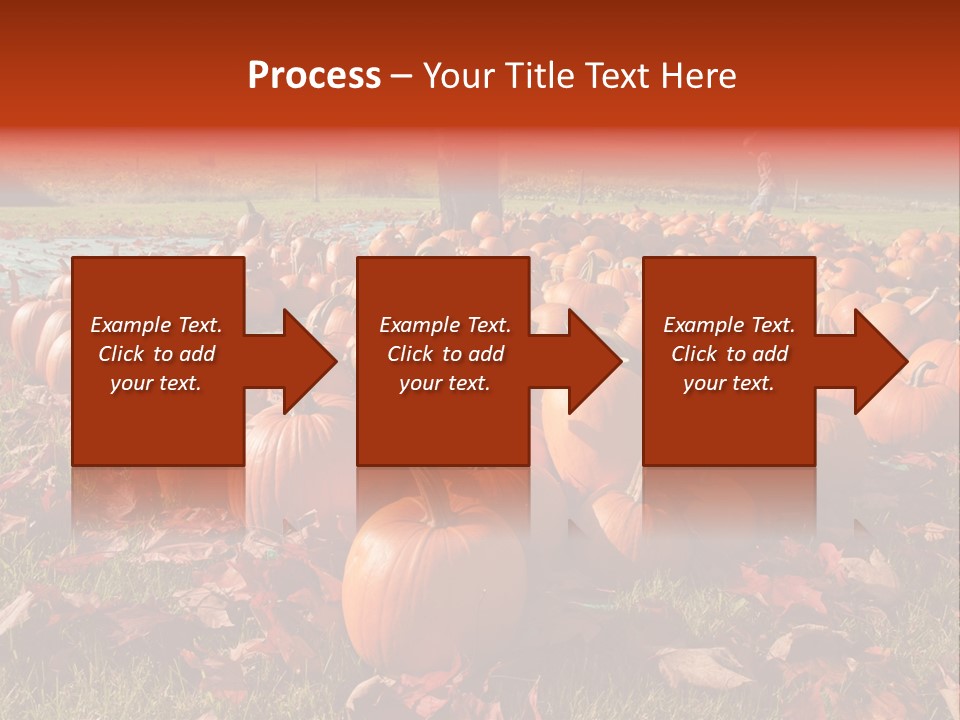 Pumpkins In A Field PowerPoint Template