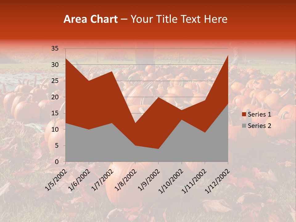 Pumpkins In A Field PowerPoint Template