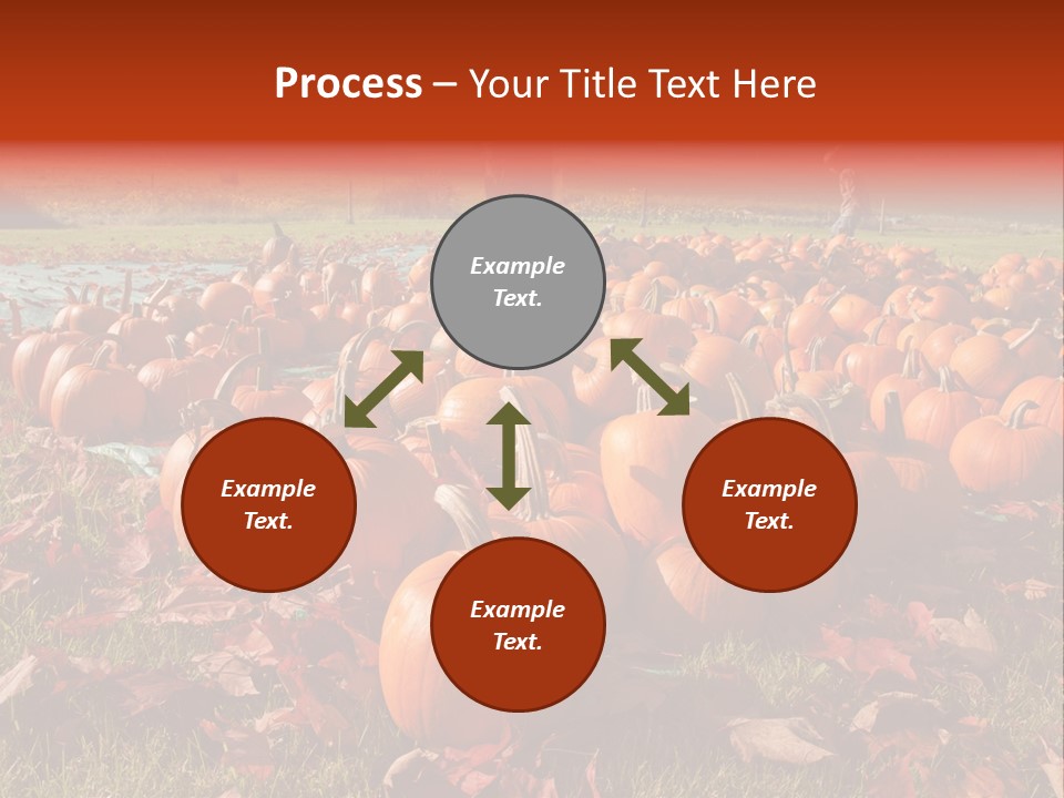 Pumpkins In A Field PowerPoint Template