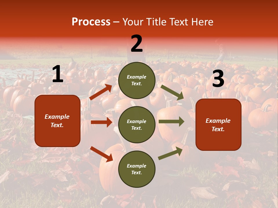 Pumpkins In A Field PowerPoint Template
