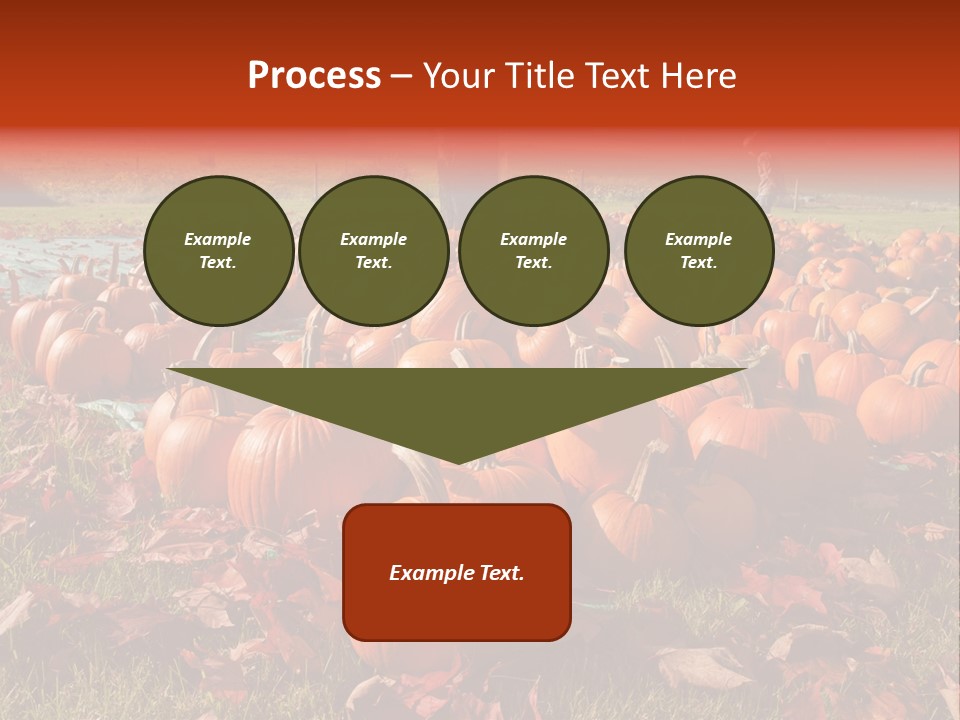 Pumpkins In A Field PowerPoint Template