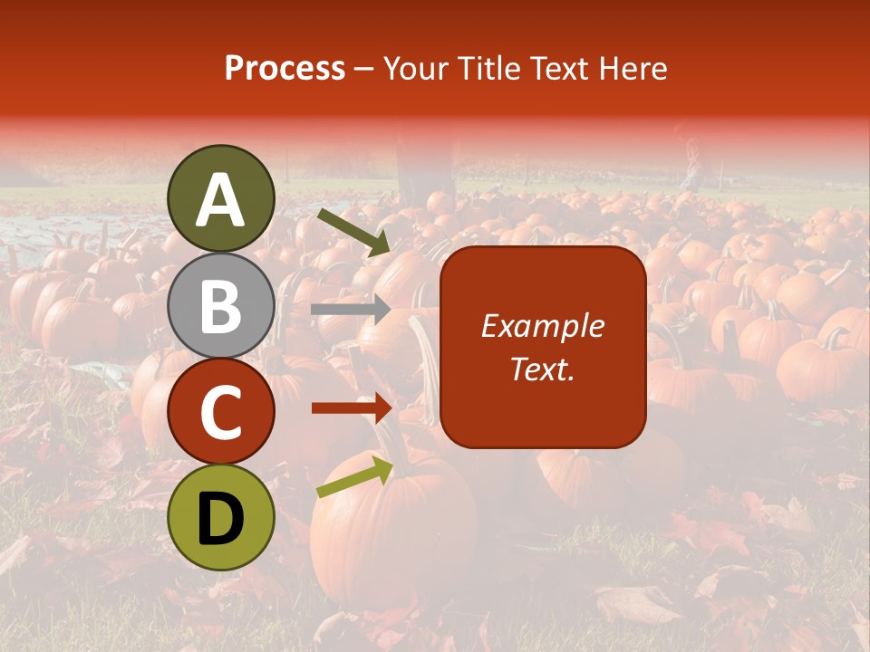 Pumpkins In A Field PowerPoint Template