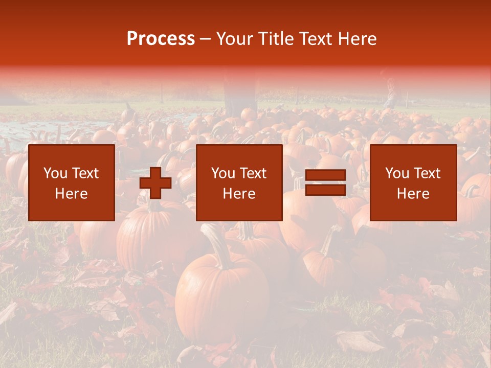 Pumpkins In A Field PowerPoint Template