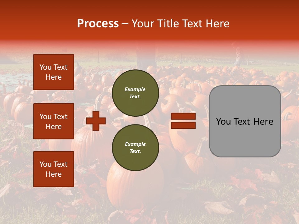 Pumpkins In A Field PowerPoint Template
