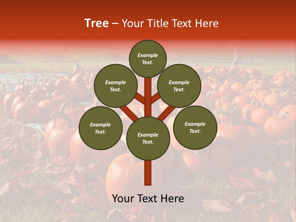 Pumpkins In A Field PowerPoint Template