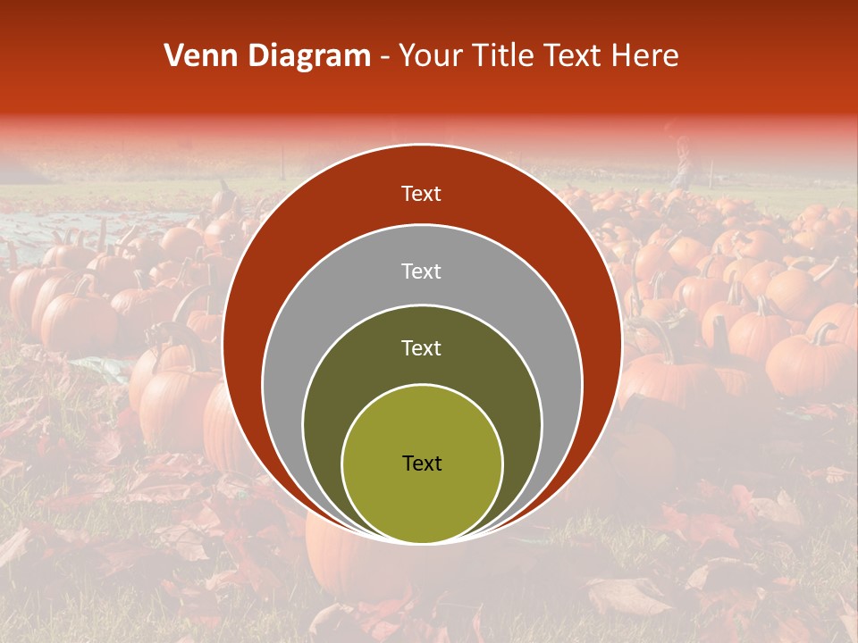 Pumpkins In A Field PowerPoint Template