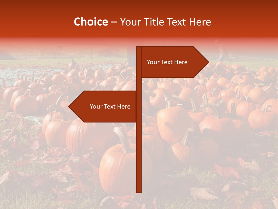 Pumpkins In A Field PowerPoint Template