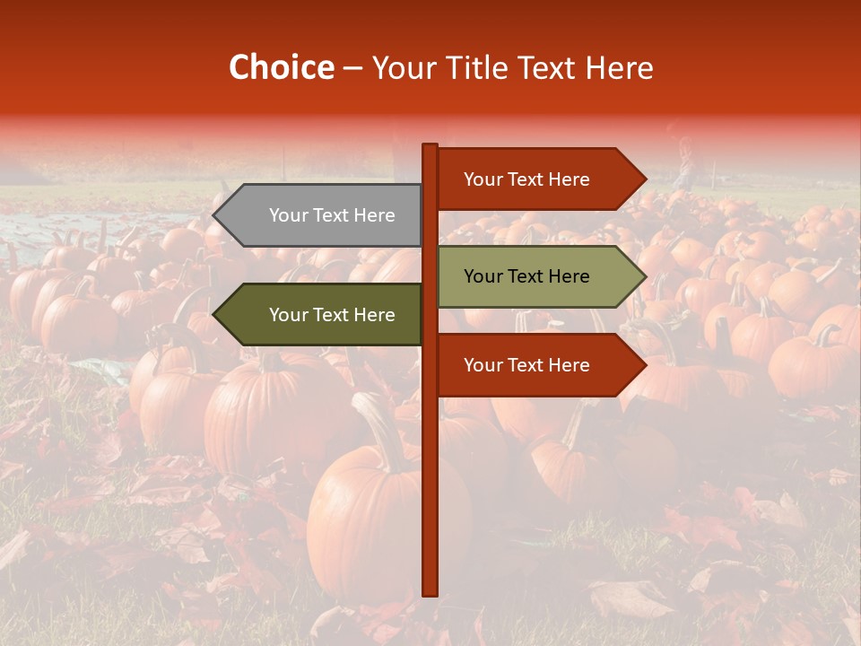 Pumpkins In A Field PowerPoint Template
