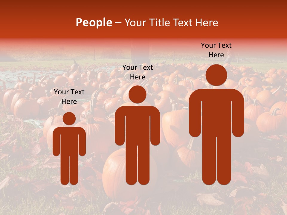 Pumpkins In A Field PowerPoint Template